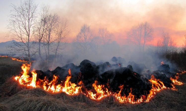 Several houses in Sukkur burnt over 