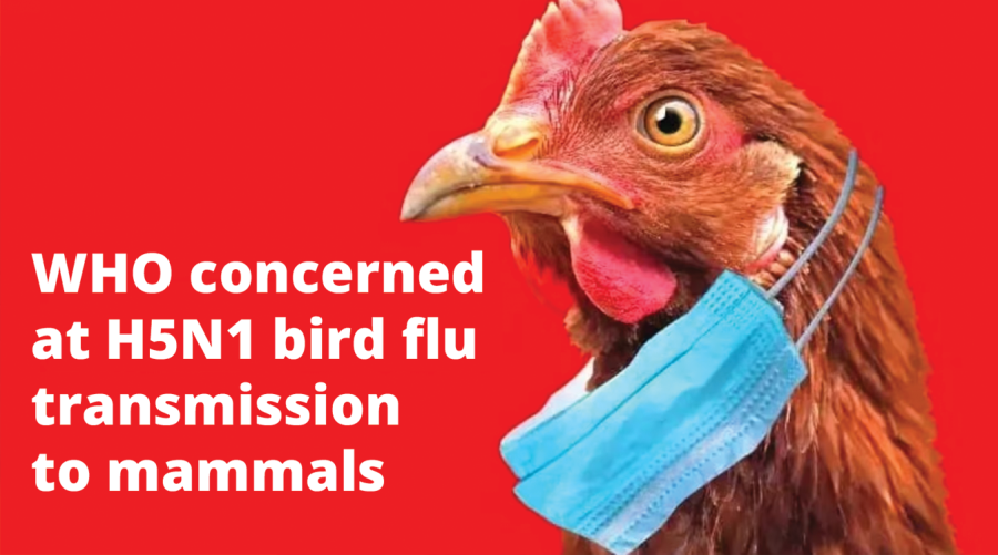 WHO concerned at H5N1 bird flu transmission to mammals