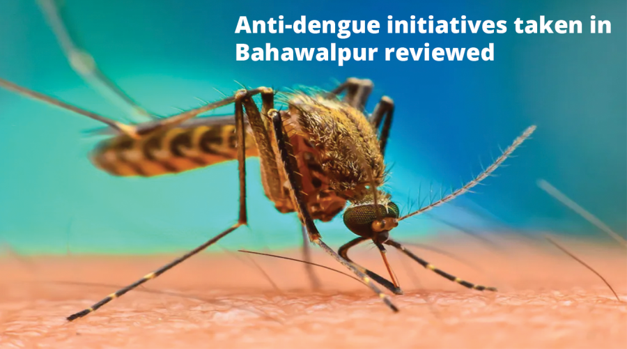 Anti-dengue initiatives taken in Bahawalpur reviewed