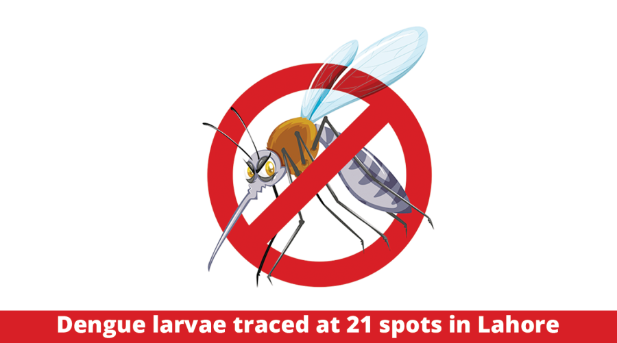 Dengue larvae traced at 21 spots in Lahore 
