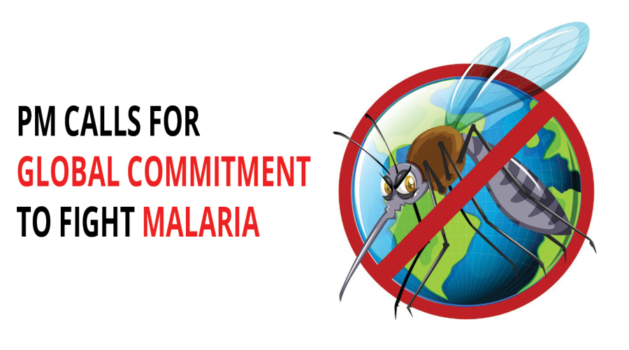 PM calls for global commitment to fight malaria 