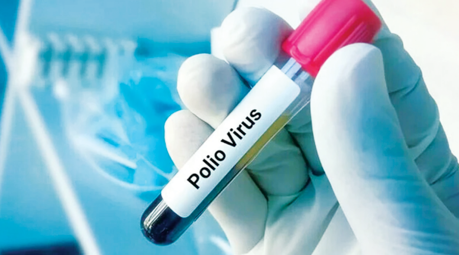 Poliovirus detected in Karachi, Pishin 