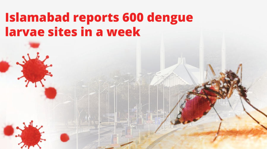 Islamabad reports 600 dengue larvae sites in a week