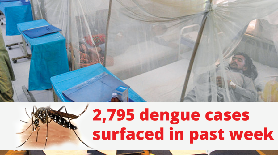 2,795 dengue cases surfaced in past week