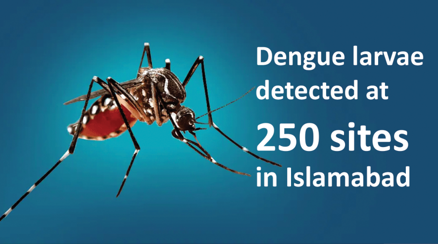Dengue larvae detected at 250 sites in Islamabad