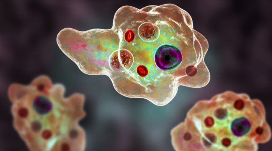 Naegleria cases surge prompts NIH to issue advisory