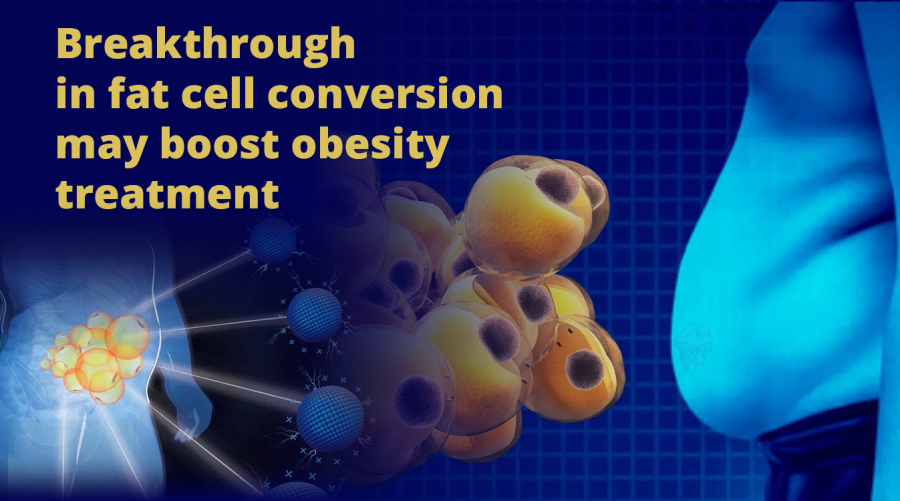Breakthrough in fat cell conversion may boost obesity treatment
