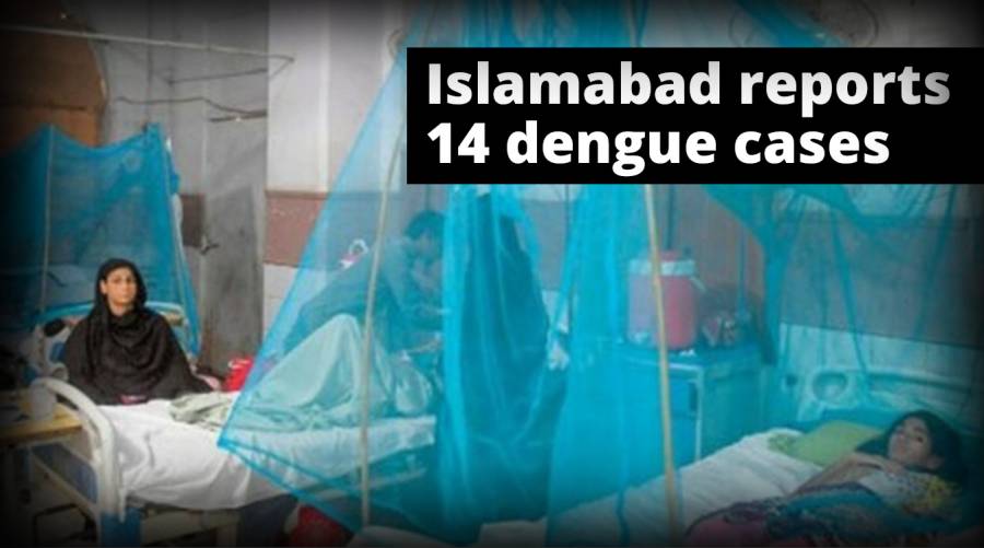 Islamabad reports 14 dengue cases  