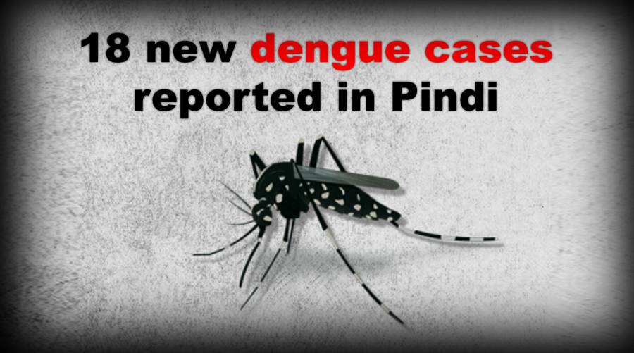 18 new dengue cases reported in Pindi