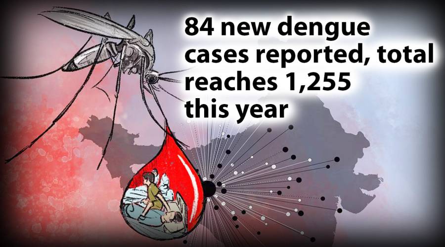 84 new dengue cases reported, total reaches 1,255 this year