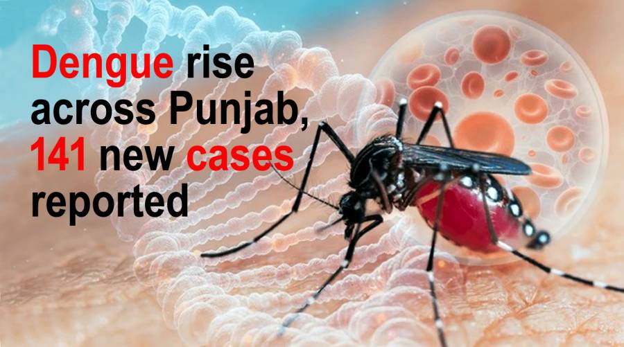 Dengue rise across Punjab, 141 new cases reported 