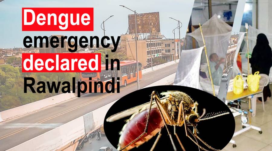 Dengue emergency declared in Rawalpindi 