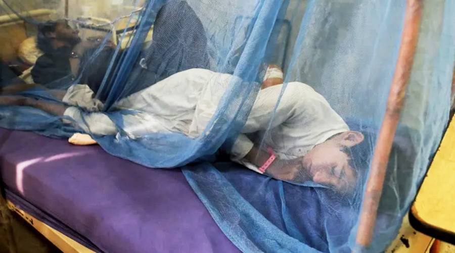 Malaria epidemic threatens Sindh as cases soar to over 16,000