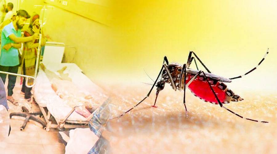 PMA concerned at surge in dengue, malaria and chickungunya