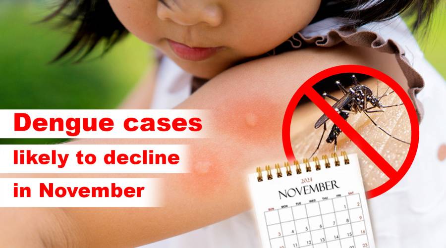 Dengue cases likely to decline in November 