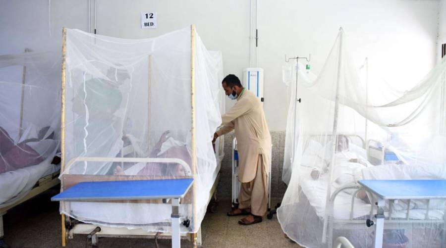 Punjab records first dengue-related death