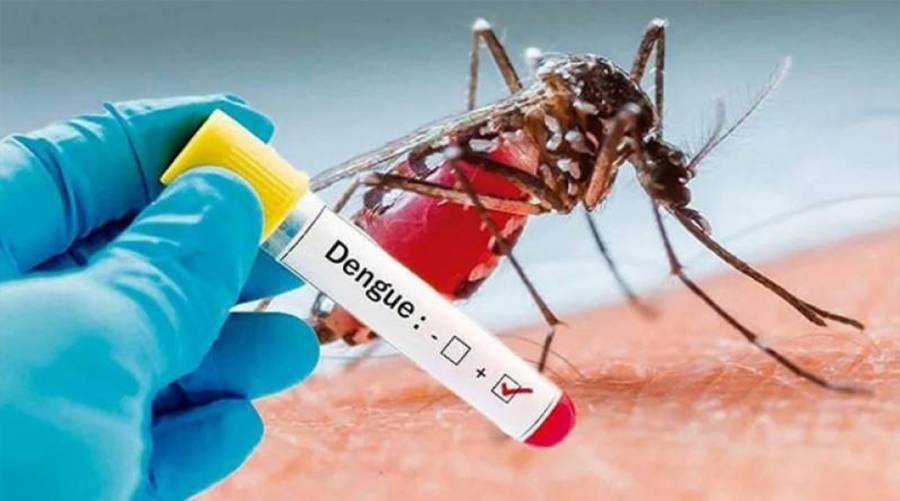 Dengue cases continue to surge in Punjab as 78 more cases reported