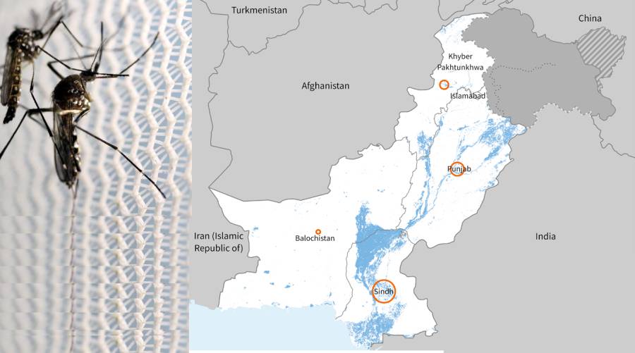 Pakistan reports over 20,000 dengue cases in 2024, 10 fatalities recorded