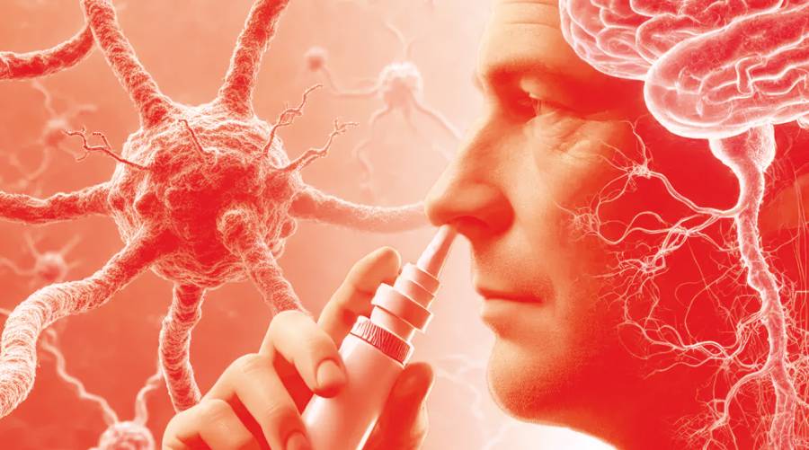 Innovative nasal spray could delay Alzheimer’s by Over a decade