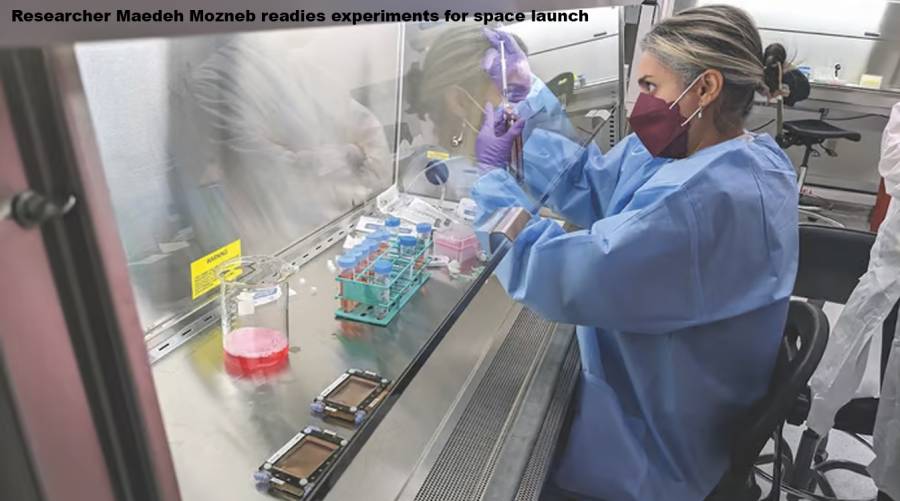 Stem cells sent to space for groundbreaking experiment