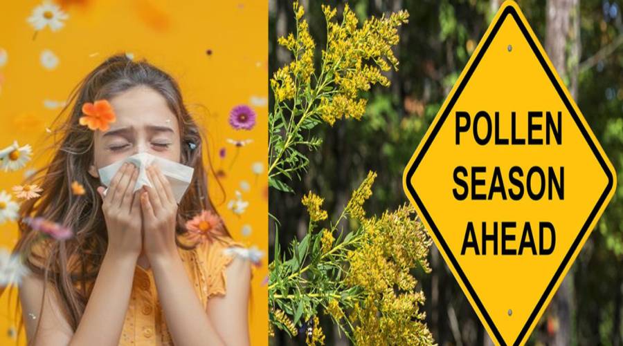 Health ministry unveils plan to tackle pollen allergies in Islamabad