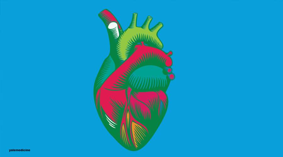 Heart disease risks? These tests could provide the answers you need