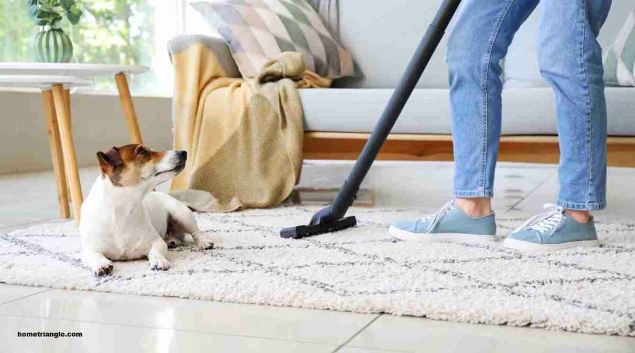 How tiny dust particles at home endanger your health