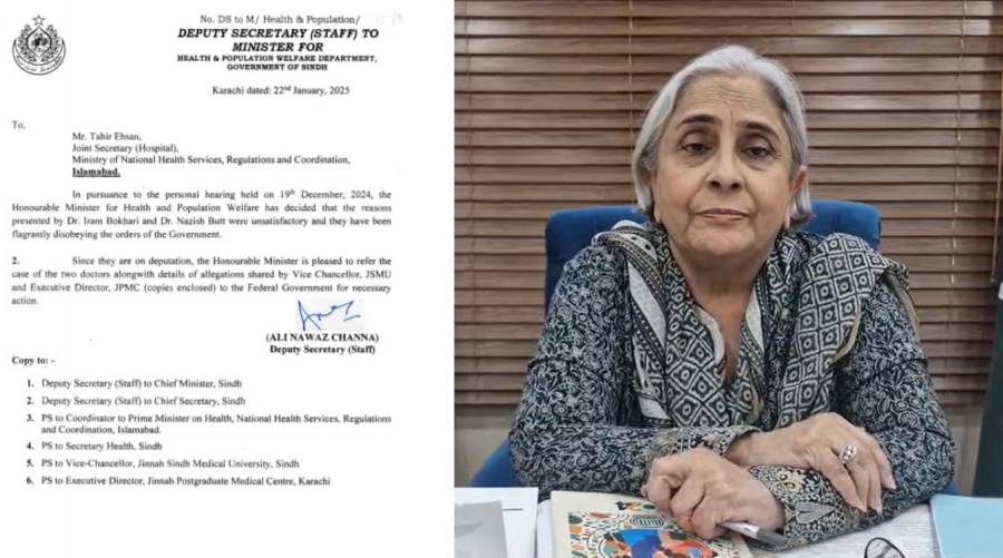 Sindh Health Minister calls for action against two women doctors amid allegations