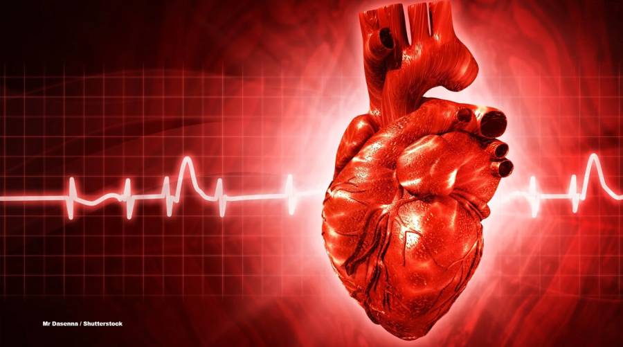 AI-powered cardiovascular devices transforming heart health, market growth