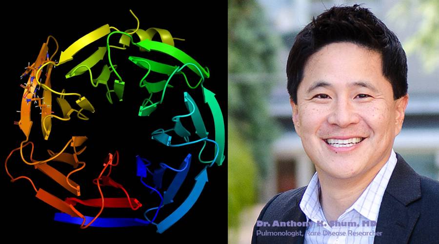 Dr. Anthony Shum leading a research team at UCSF to discover a gene therapy breakthrough for COPA syndrome.