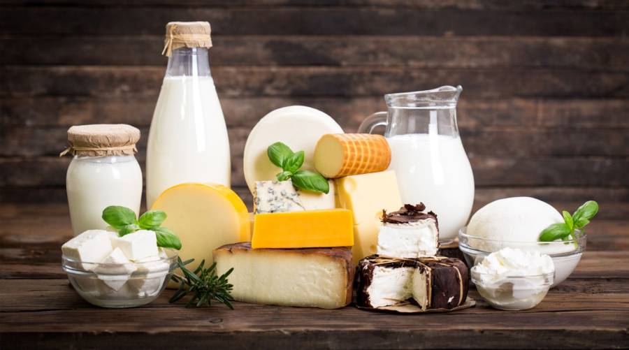 A glass of milk and a slice of cheese on a wooden table, representing their contrasting effects on gut health.